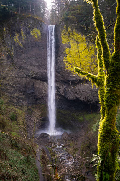 istock Waterfall in the Columbia River Gorge 1373137326