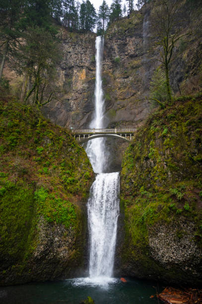 istock Multnomah Falls in The Columbia River Gorge 1373137340
