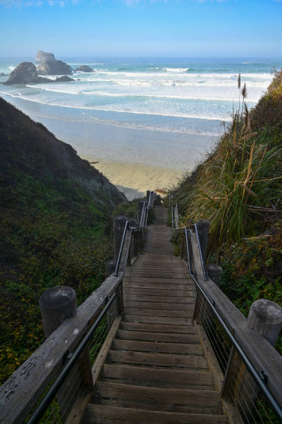 istock Sand Dollar Beach in Big Sur California 1373137379