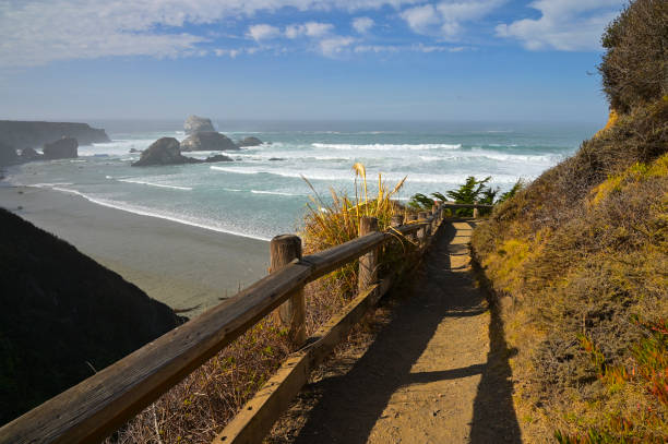 istock Sand Dollar Beach in Big Sur California 1373137386