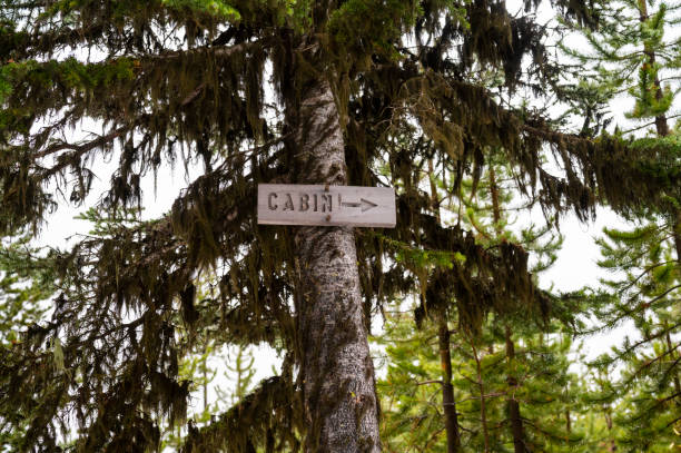 istock Cabin this way sign in the national forest 1373137454