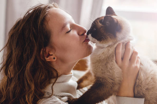 istock Cute cat on owners's hands at home 1373139932