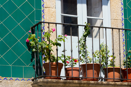 Balcony with flower pots, tiled wall.  A Guarda, Pontevedra province, Galicia, Spain.