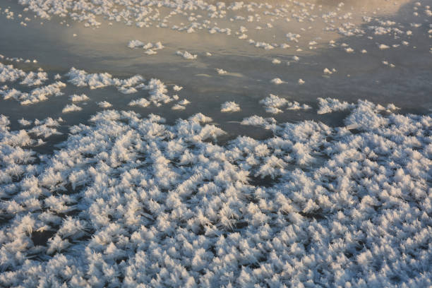 istock Beautiful effect - snow stars on ice. A pattern that forms only in severe, winter frost 1373144464