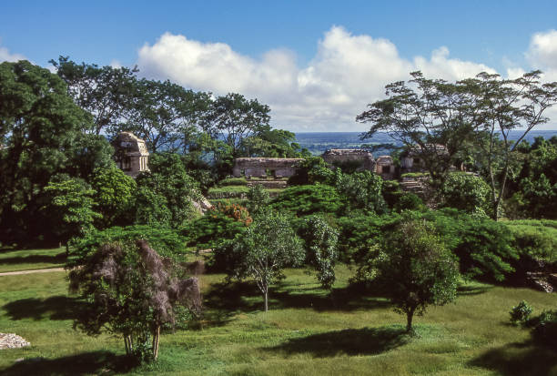 Palenque, Mexico - aug 21, 1998: overall view of the Mayan archaeological ruins in Palenque