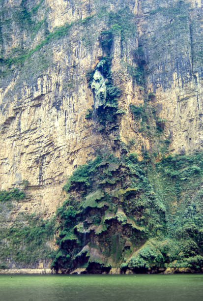 The so-called Christmas Tree in the Canyon Sumidero National Park. In the Sumidero Canyon, near Tuxtla Gutierrez in Chiapas, a particular rock formation is known as the "Christmas Tree". mexico chiapas cañón del sumidero stock pictures, royalty-free photos & images