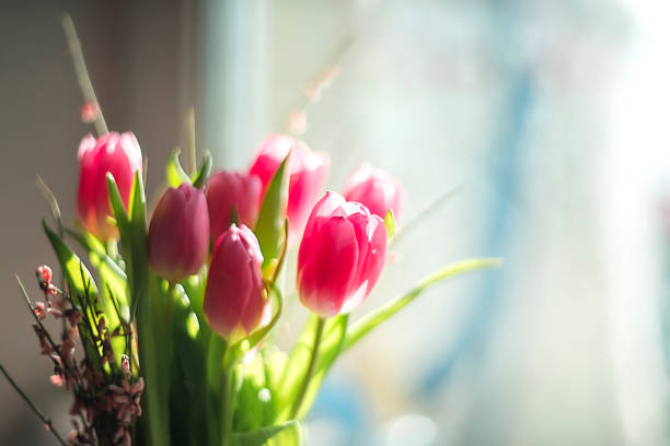 istock Beautiful bouquet of pink tulips. Selective focus. Spring still life 1373148722