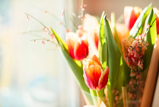 istock Beautiful bouquet of pink tulips. Selective focus. Spring still life 1373148785