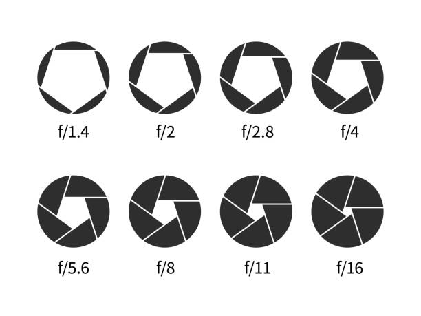 ilustrações, clipart, desenhos animados e ícones de ícone da lente de abertura da câmera. símbolos de silhueta de diafragma foto óptica com números de valor. diferentes estágios abrindo. zoom óptico. foco fotográfico. vetor preto preto placas de obturador redondo definido - lens camera aperture isolated