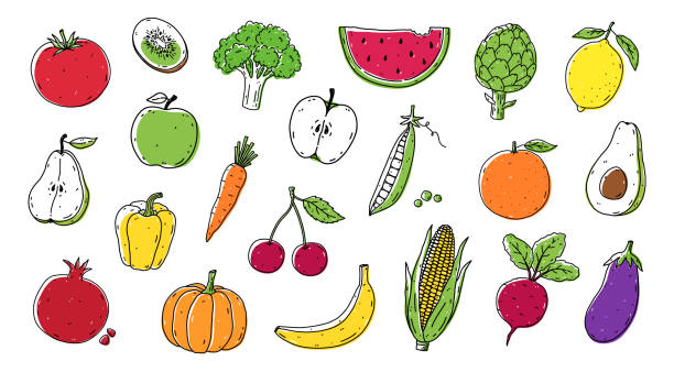 набор фруктов и овощей - кукуруза, брокколи, свекла, помидор, морковь, авокадо, яблоко, груша, лимон, банан, апельсин и другие. органическая зд� - apple fruit vector line art stock illustrations