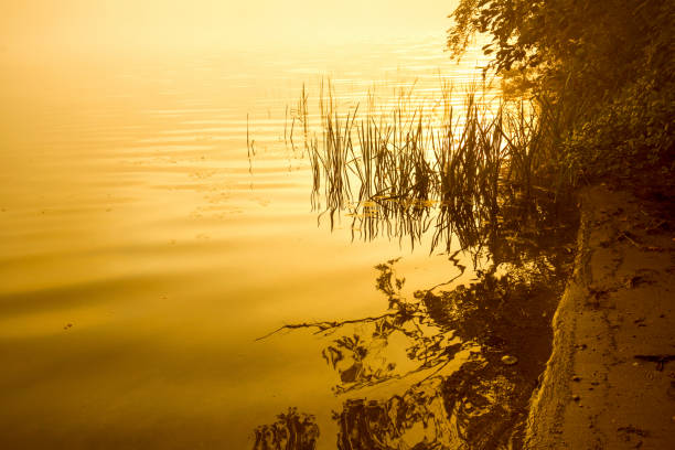 istock Warm summer sunrise and mist on Spectacle Pond in Vermont. 1373153711
