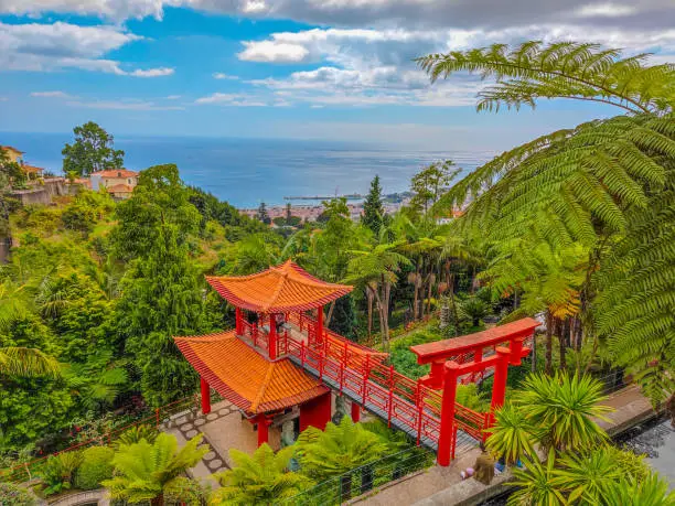 Photo of a Japanese garden in Madeira, Funchal