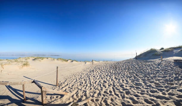 istock Footstep prints in deep sand on rope bounded path over coastal dune. 1373157960