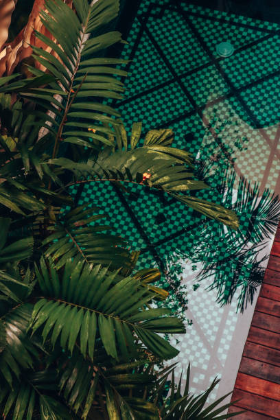 Tropical swimming pool in morocco with palm trees and green tile pattern