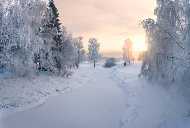 istock Beautiful winter forest landscape 1373165046