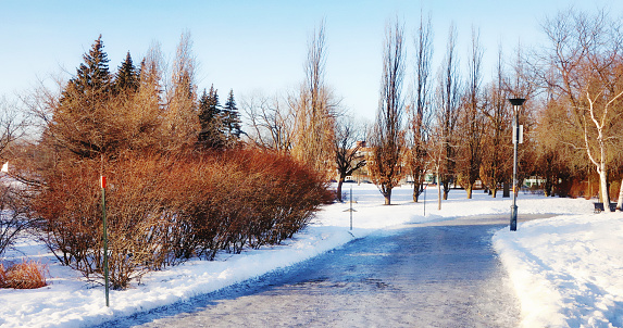 Frozen pathway background in public park. Shot on a sunny Winter day.