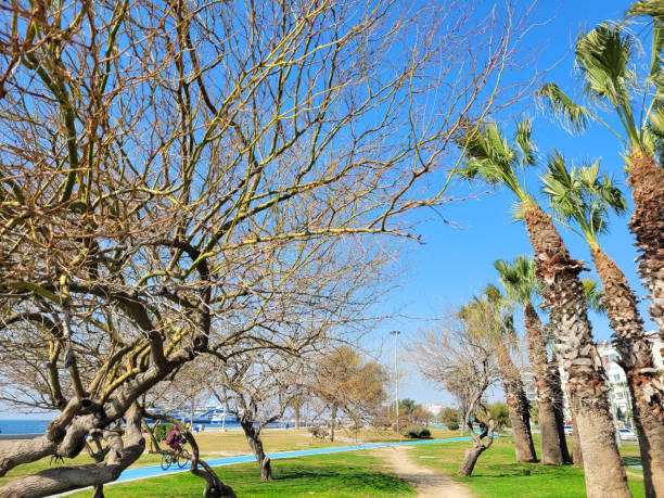 istock bike road view in public park 1373169106
