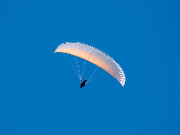 istock Paraglider flying in the sky 1373172431