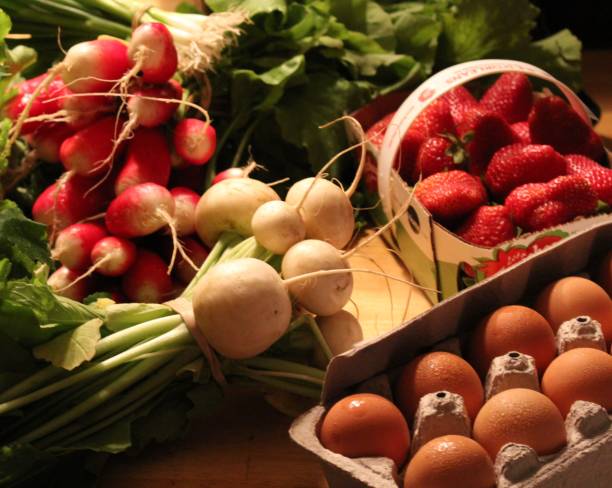 istock garden harvest 1373172711