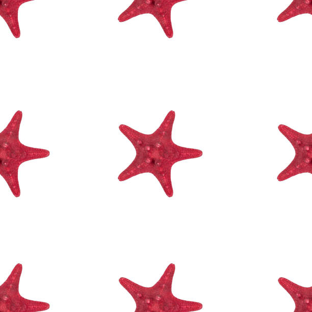 istock Dried red sea star fish pattern on white background close up. Top view, minimal flat lay style. Seamless Banner or poster. 1373174941