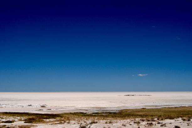 istock Etosha Nation Park Salt Pan 1373175034