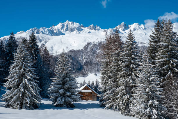 istock A Savoyard landscape with a chalet in winter 1373175572