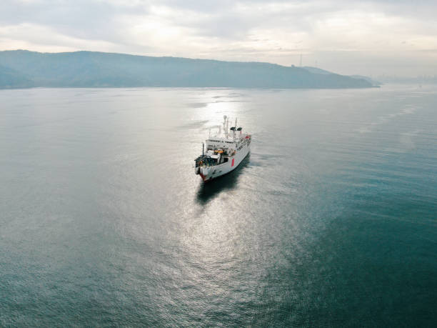 istock Aerial view of freight ship with cargo containers. 1373178539