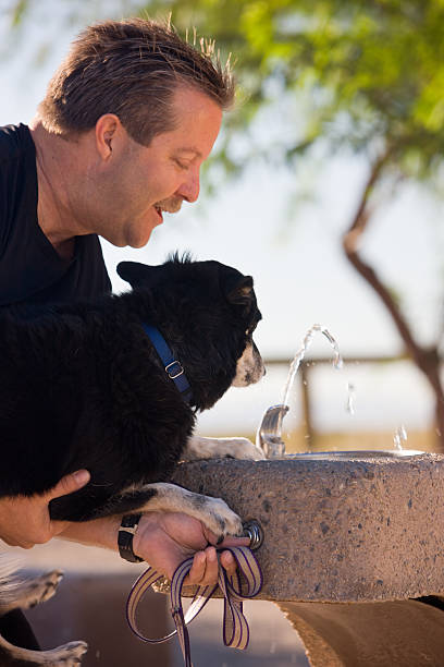 istock Drink For Man's Best Friend 137317974