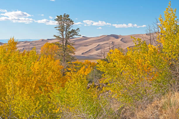 istock The Great Sand Dunes Beyond the Autumn Colors 1373181705