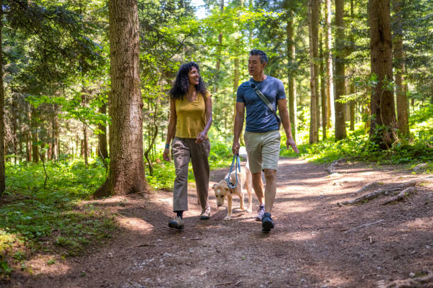 istock Couple spending sunny summer day on fresh air 1373189857