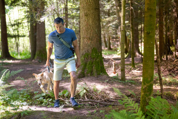 istock Man with dog on leas on walk in forest 1373189865