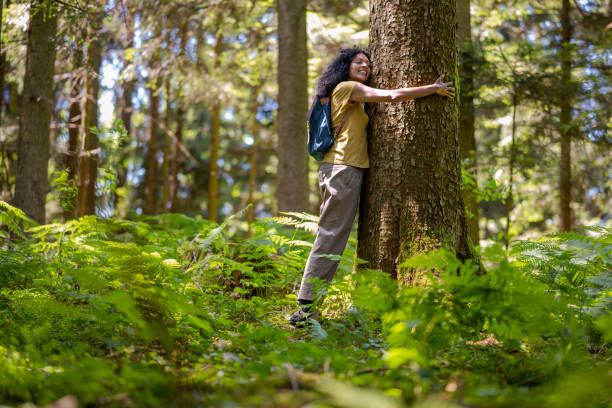 istock Female nature lover embracing tree in forest 1373189866
