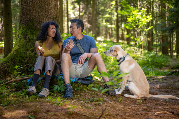 istock Couple with dog sitting on ground under tree in forest and having snack 1373189887