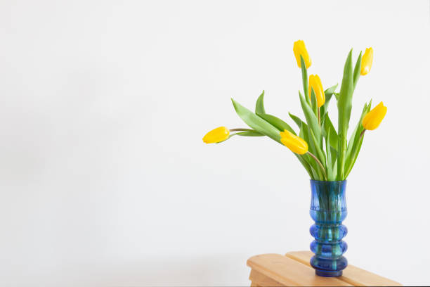 tulip flowers bloomed in spring in the field