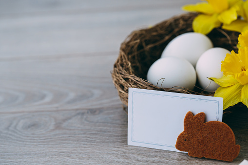 Copy space shot of a blank greeting card and a decorative bunny set up against a nest with three eggs and some yellow daffodils.