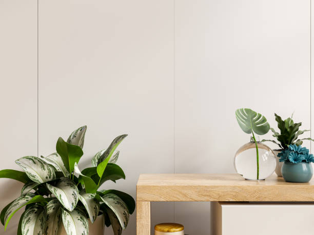 istock Mockup white wall with plants on cabinet wooden. 1373204223