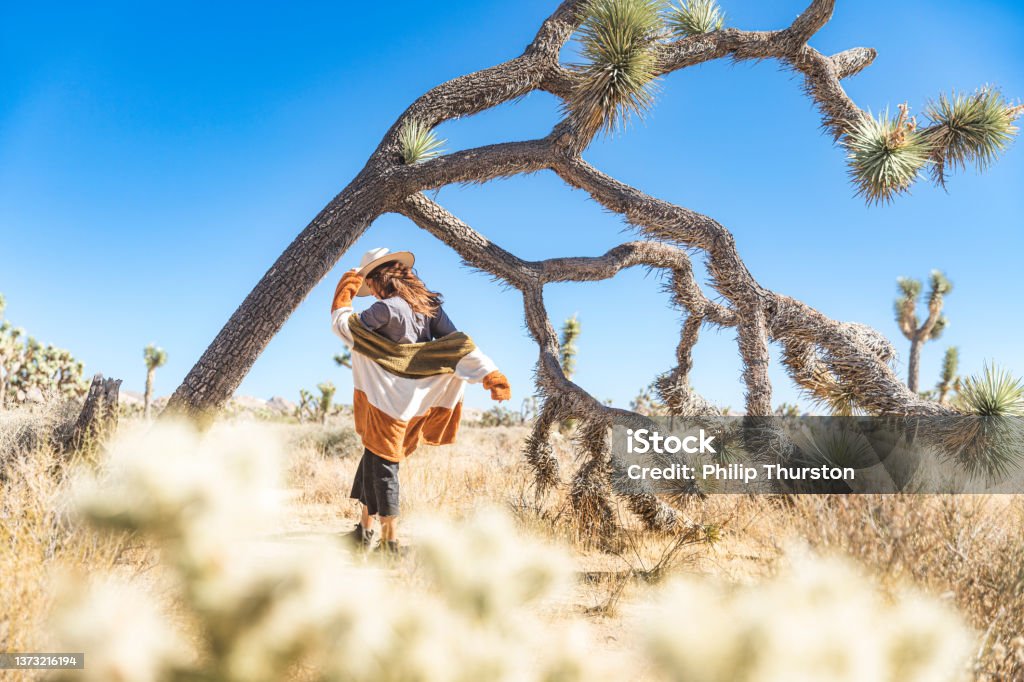 Woman wandering in colourful clothes in Joshua Tree National Park desert area on a blue sky sunny day Adult Stock Photo