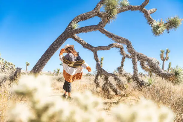 Woman wandering in colourful clothes in Joshua Tree National Park desert area on a blue sky sunny day