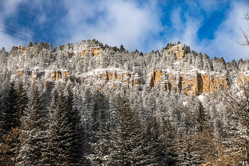 Winter scene of fresh snowfall on mountains and pine trees with blue sky above in South Dakota winter.