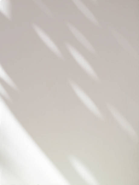 istock Abstract shadow of leaves on a white wall background 1373216527
