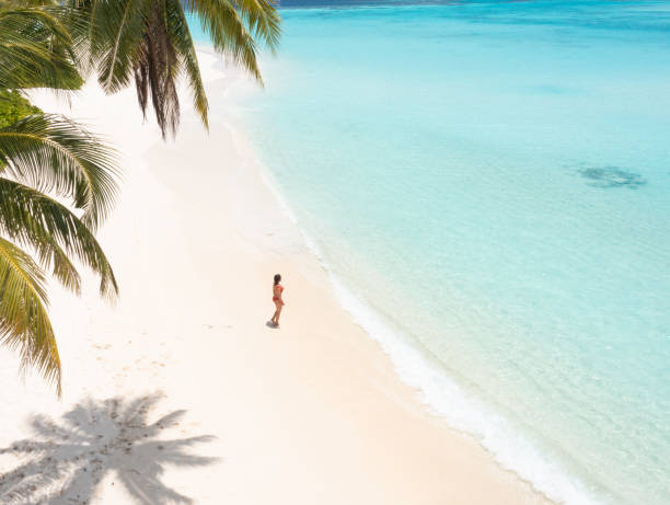 istock Beautiful woman looking ocean under palm tree 1373225949