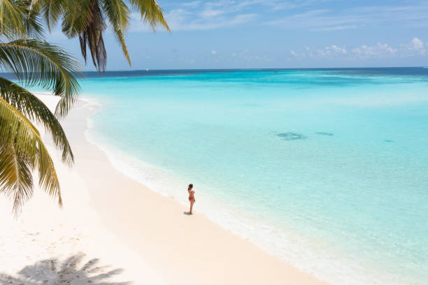 istock Beautiful woman looking ocean under palm tree 1373225956