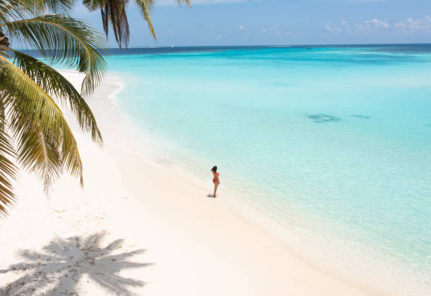 istock Beautiful woman looking ocean under palm tree 1373226014