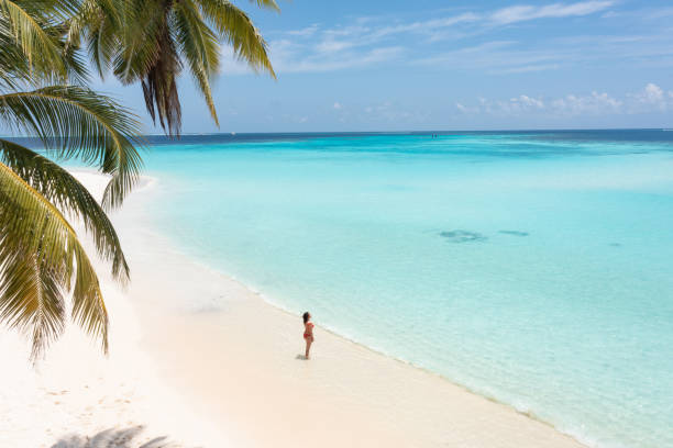 Beautiful woman looking ocean under palm tree