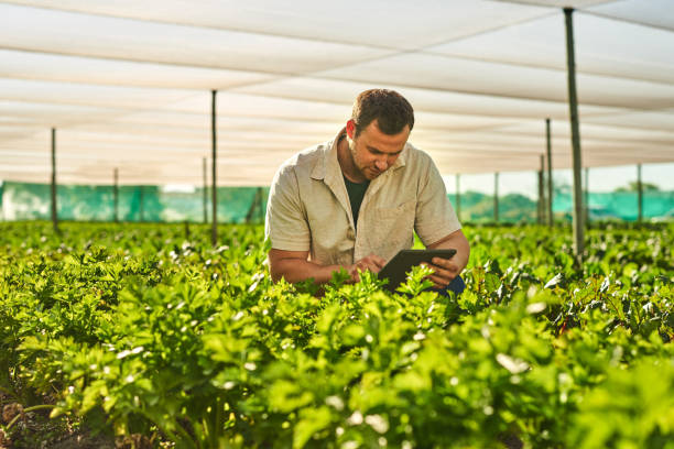 istock Shot of a young man using a digital tablet while working on a farm 1373226690