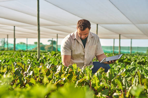 istock Shot of a young man using a digital tablet while working on a farm 1373226691