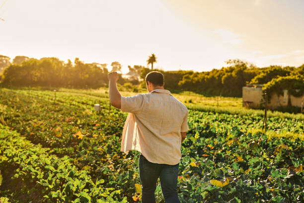istock Shot of a young man working on a farm 1373226694