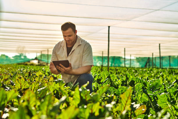 istock Shot of a young man using a digital tablet while working on a farm 1373226695