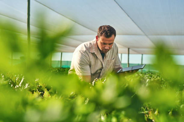 istock Shot of a young man using a digital tablet while working on a farm 1373226696