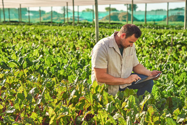 istock Shot of a young man using a digital tablet while working on a farm 1373226697